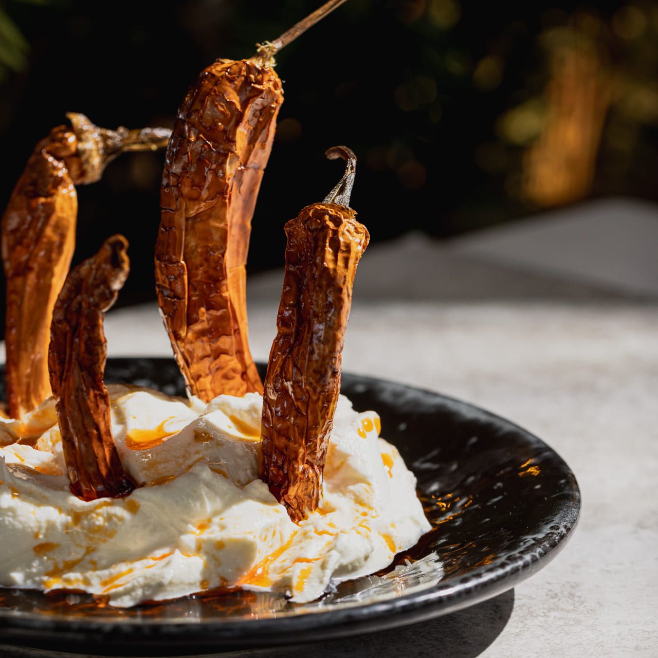 Civarda Food 5